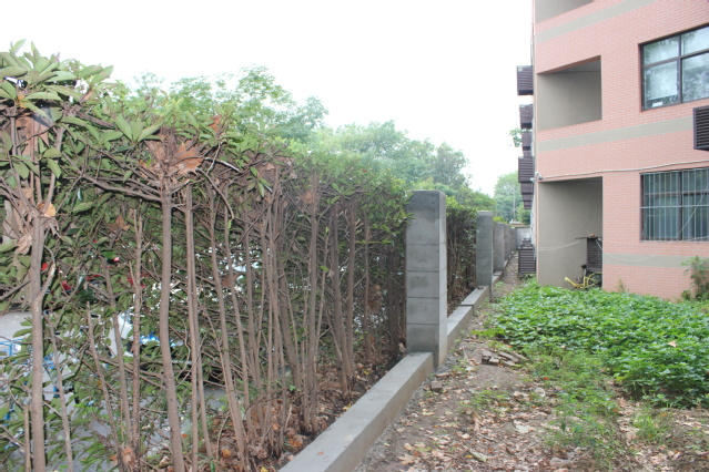 校园围墙施工现场 校园围墙施工现场