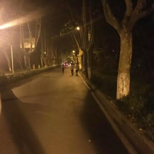 体育公园夜跑 体育公园夜跑